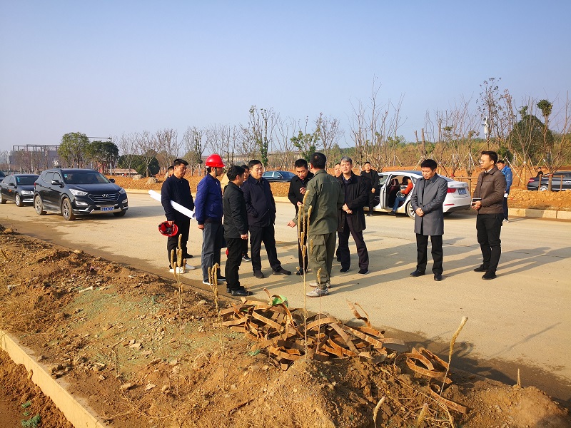 俞健調研市城投集團公司部分在建項目